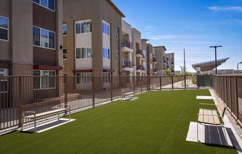 Dog park
